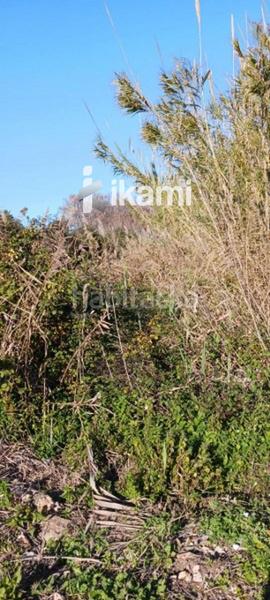 Foto dbcb7307-2f5b-4a7b-b026-dc2cf5d218f9. Rural plot in Pego