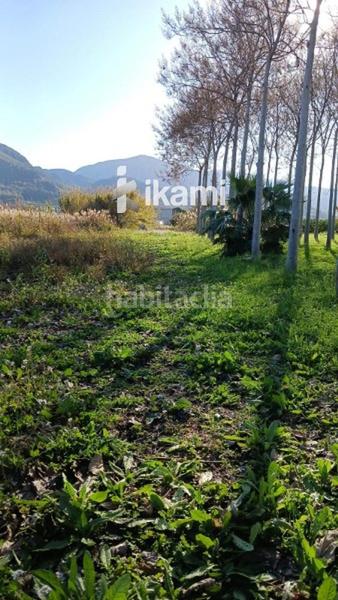 Foto ef7aae92-9a03-40d8-a199-fc0b24802edd. Rural plot in Pego