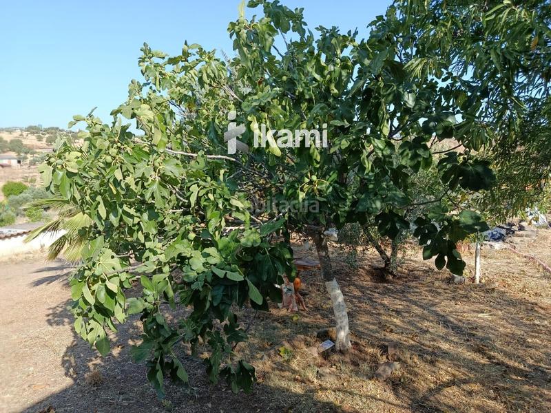 Foto 14f0bb57-5a40-43a5-b28c-dc756c9c0166. Chalet con riscaldamento parcheggio piscina in Zafra