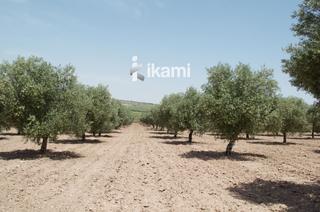 Xalet a Campo de Criptana. Finca rústica en campo de criptana