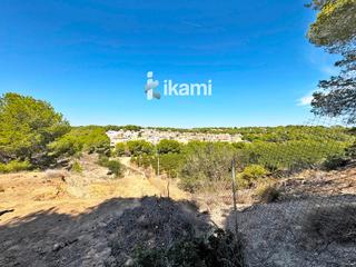 Fondo rustico  9. Oportunidad de inversión finca con alto potencial en pilar de la