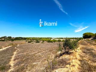 Landgut  9. Oportunidad de inversión finca con alto potencial en pilar de la