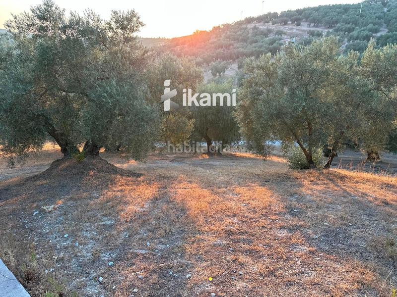 Foto 4fcd7482-d1f3-482d-af89-2edc7c7bd77b. Xalet amb aparcament a Villanueva del Trabuco