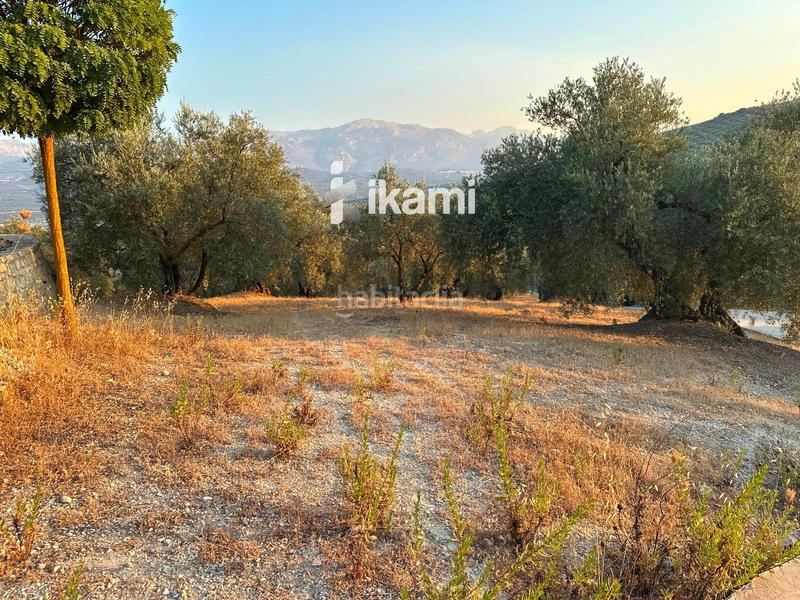 Foto d1e3a945-e8c4-4817-ab47-1c12336860ea. Xalet amb aparcament a Villanueva del Trabuco