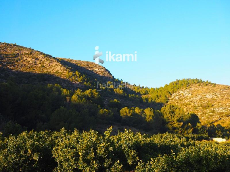 Foto 2f11e67d-341d-4551-815d-f8478826584b. Finca rústica a Pego