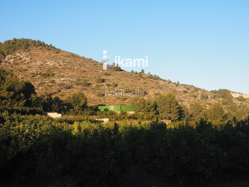 Foto 5c3d5abe-9af4-424c-bbbd-68a12bd5ca92. Finca rústica a Pego