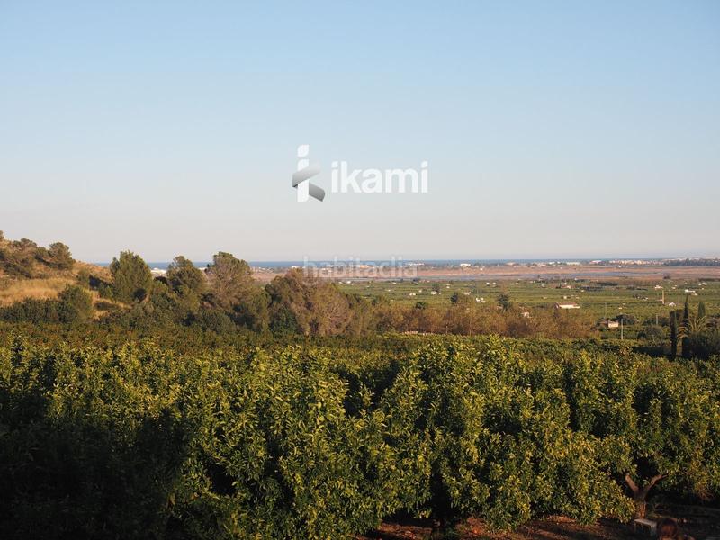 Foto 6126be9c-57e9-4a9b-b379-86b132ebf8e6. Finca rústica a Pego