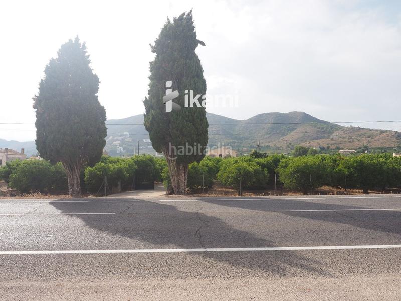 Foto a854f0a0-2ebf-4224-9d10-fcbb662df937. Finca rústica a Pego