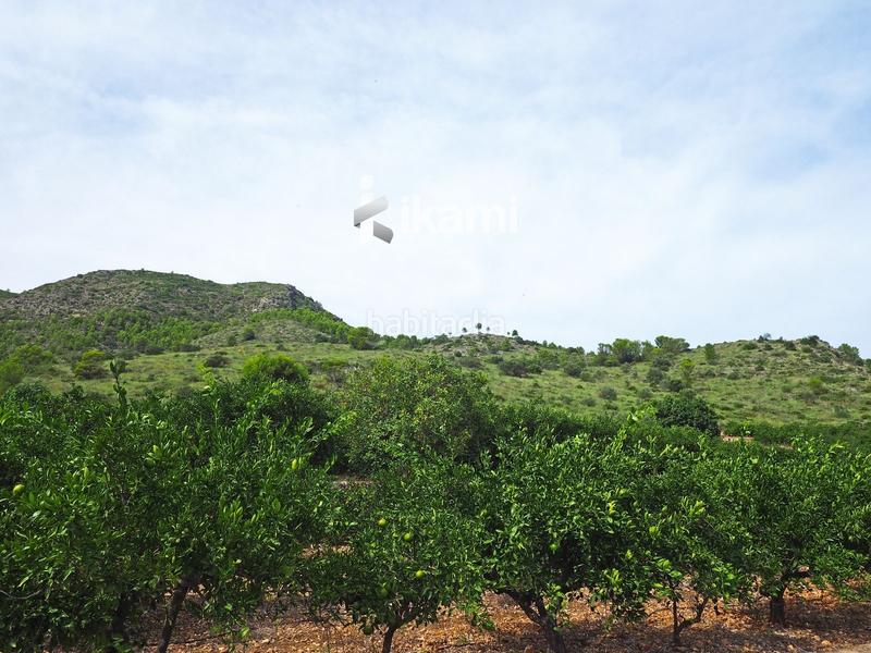 Foto fe26d34b-5a74-4933-bac6-f9d8349c968c. Finca rústica a Pego