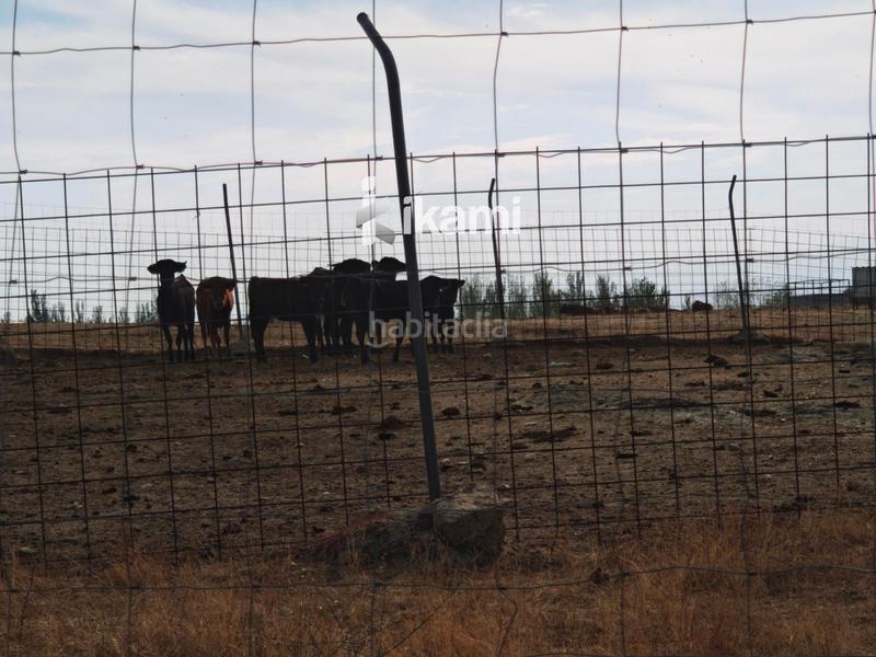 Foto 97c76d10-ab21-4a36-b7d4-3edb2d21cb27. Finca rústica a Éjeme