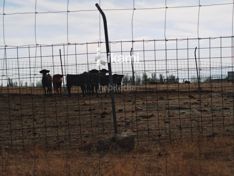 Foto 97c76d10-ab21-4a36-b7d4-3edb2d21cb27. Finca rústica a Martinamor