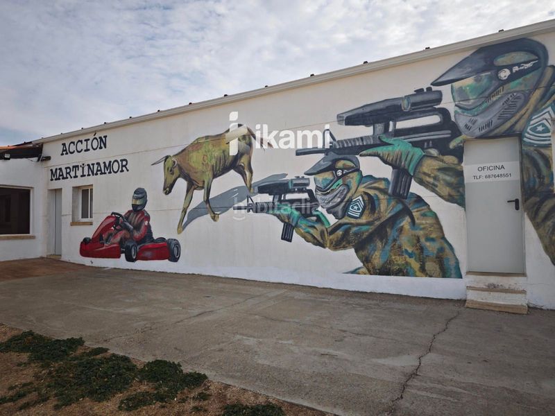 Foto c2ca8eec-fc4e-4fb7-ad63-11d74ffcaba6. Finca rústica a Martinamor