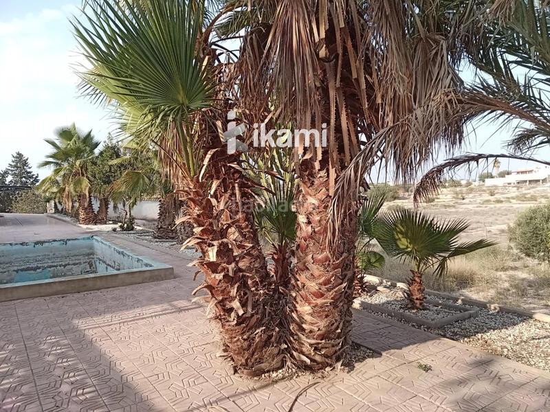 Foto bdc0b63e-4002-45ca-bed9-096059a8f138. Semi detached house with pool in Gea y Truyols Murcia