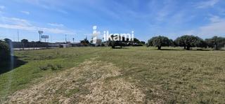 Finca rústica  Las beatas. Parcela rústica de 6.000m2 situada en san pedro del pinatar