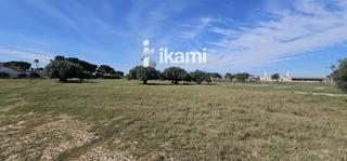 Fondo rustico  Las beatas. Parcela rústica de 6.000m2 situada en san pedro del pinatar