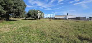 Finca rústica  Las beatas. Parcela rústica de 6.000m2 situada en san pedro del pinatar