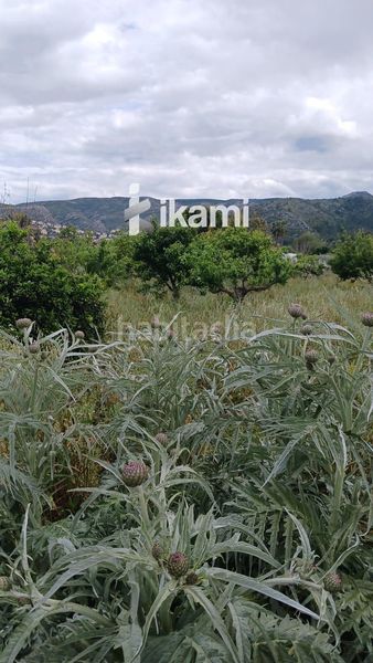 Foto 0472edf6-6da3-4fc2-acf5-fa622605c35d. Finca rústica a Pedreguer