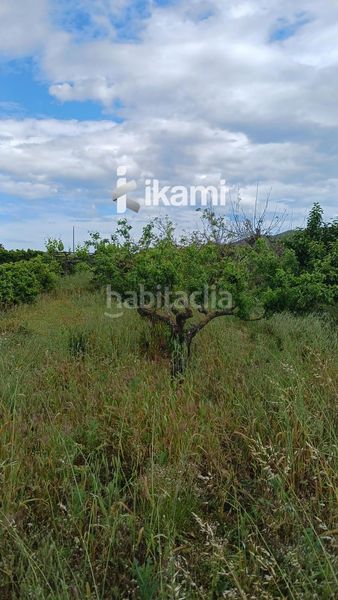 Foto 06c513eb-7e37-423a-8d11-58b1c735d098. Finca rústica a Pedreguer