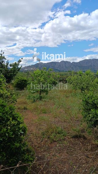 Foto 44076ec5-8b69-4f05-a599-a3993b98c27e. Finca rústica a Pedreguer