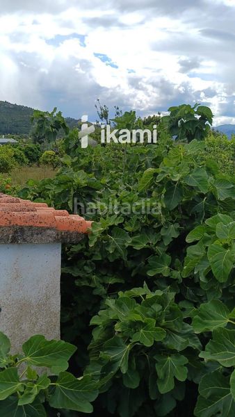 Foto 54a739de-c8ed-425c-93ef-611a468df924. Finca rústica a Pedreguer