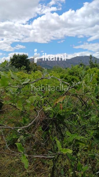 Foto 5593ab1d-a3f0-43e5-9c6c-6706ab1b28f2. Finca rústica a Pedreguer