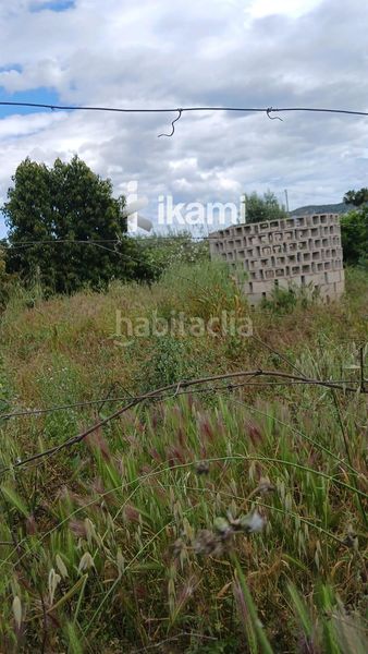 Foto 7899b72d-530a-4fa7-8a56-efa37fd1dd3f. Finca rústica a Pedreguer