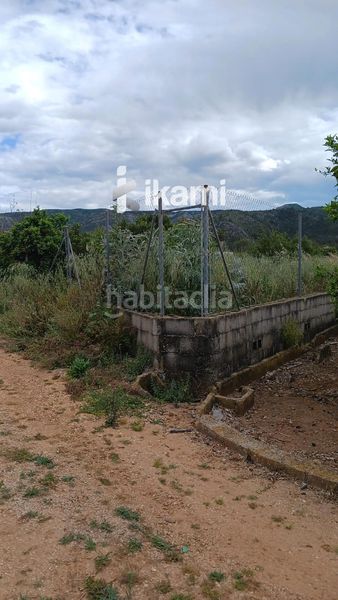 Foto 85b5b5b4-e9c3-4250-8128-5b74e9ec53a5. Finca rústica a Pedreguer