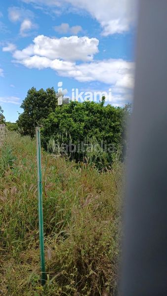 Foto b94b5e12-ddec-4200-983a-c9ed43383bf1. Finca rústica a Pedreguer