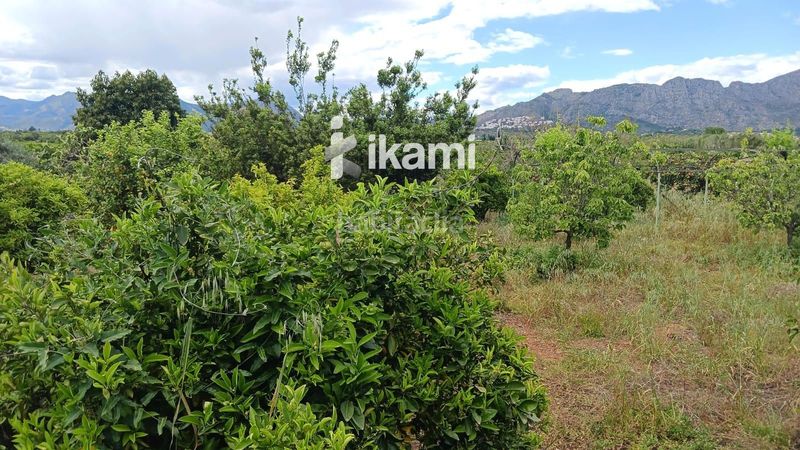 Foto e8786845-946c-4a10-8dbe-c6d53cd3eea6. Finca rústica a Pedreguer