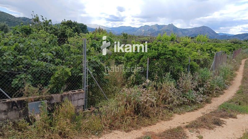 Foto e87ad505-90f5-4d29-a2aa-322befc38cbf. Finca rústica a Pedreguer