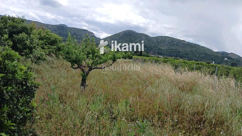 Foto f6a5d894-0e33-47f9-87e4-1e16b95fa1e3. Finca rústica a Pedreguer