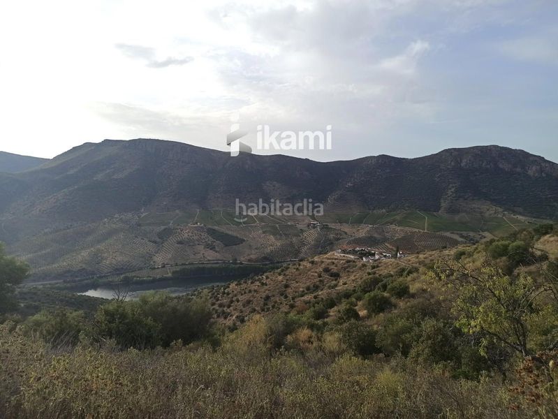 Foto a0bbf122-85d6-47dd-9fbc-fde8727eb5d6. Finca rústica a Fregeneda (La)