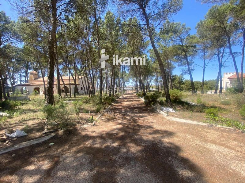 Foto 366c6f37-3221-4601-9e32-915770f1c3dc. Edifici a Requena