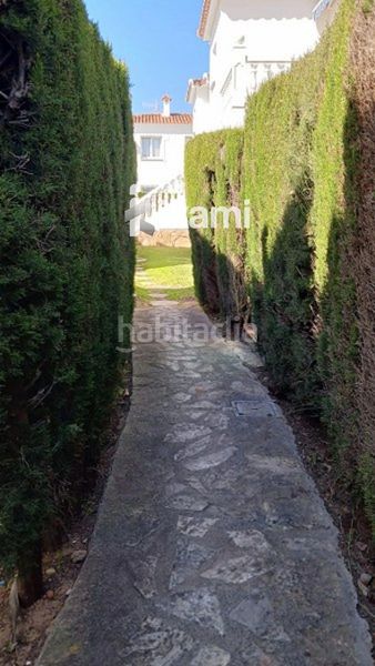 Foto 9ea72027-ea71-4614-811a-fdfe2421454a. Àtic amb calefacció aparcament piscina a Oliva nova Oliva