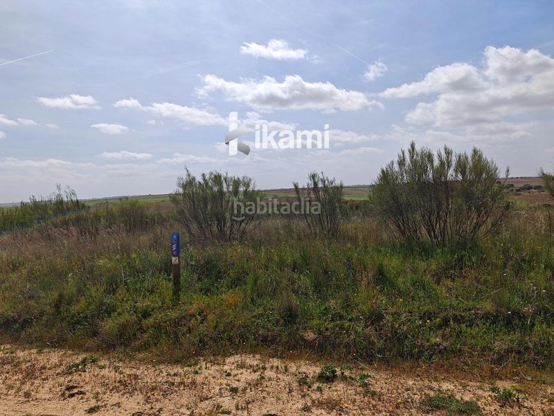 Foto 58a0b576-a973-406e-b60b-a52ae9cb1009. Finca rústica a Moraleja de Enmedio