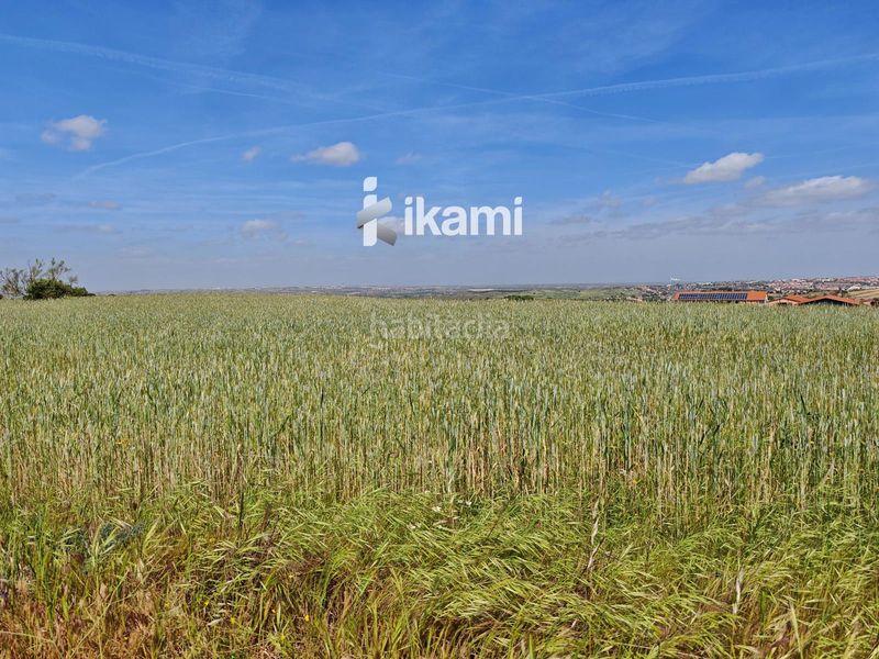 Foto a3028efb-063a-41f6-b4d0-52c53524f8e8. Finca rústica a Moraleja de Enmedio