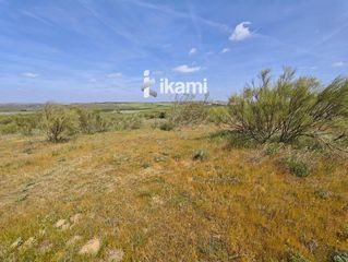 Rural plot  De torviscos. Parcela rústica de 50.000 m2 en arroyomolinos madrid