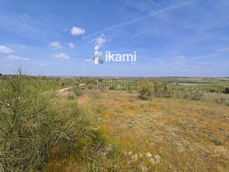 Foto eee76864-06e4-4b26-a74a-548521b31d58. Finca rústica a Moraleja de Enmedio
