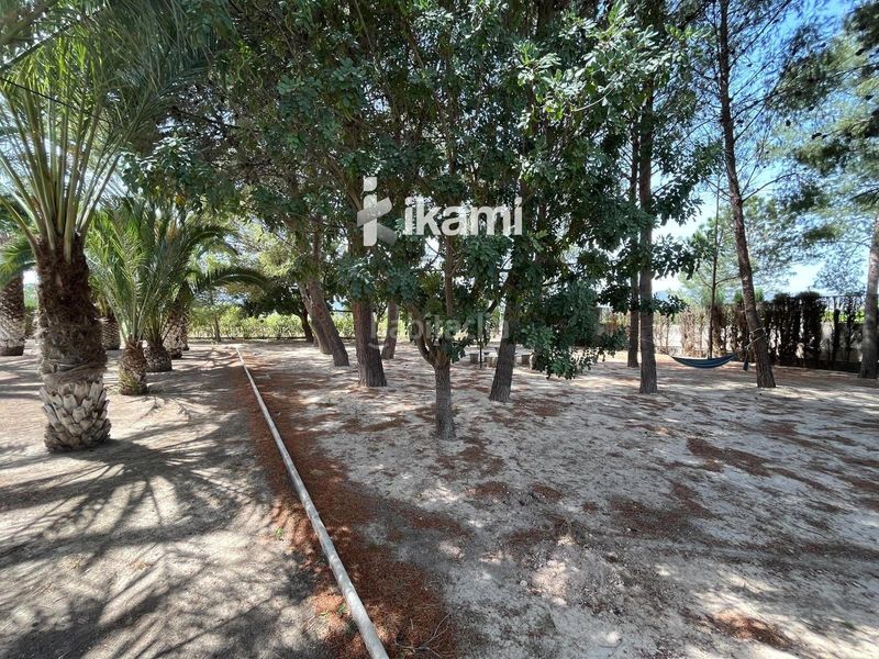 Foto de83fd3d-bda9-48fd-b050-e08cf31484a5. Xalet amb calefacció piscina a Centro Elda