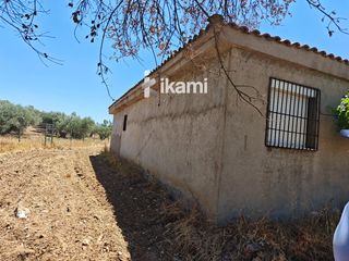 Maison  N/a. Casa de 180m2 en finca agrícola de 3.9 ha. en calypo  navalcarne