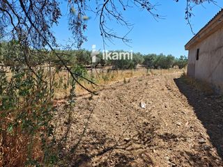 House  N/a. Casa de 180m2 en finca agrícola de de 5.6 ha. en calypo, toledo
