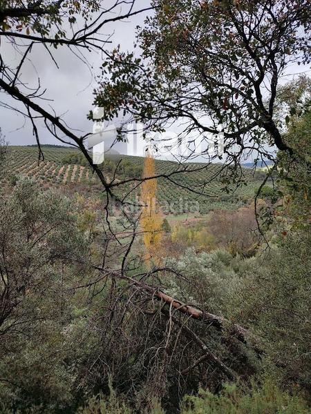 Foto 076601f8-bd95-4973-9f89-bac55e83ae49. Terreny residencial a Beas de Segura