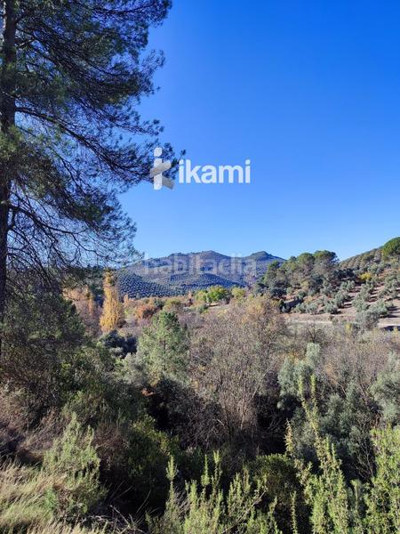 Foto 4fe7e379-57c8-45dd-a369-0775306e7117. Terreny residencial a Beas de Segura