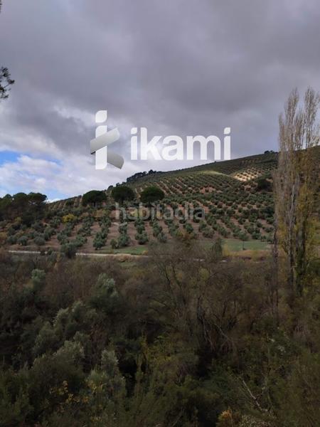 Foto 5609e9f7-1338-4e18-9cd9-d4b4650a6edb. Terreny residencial a Beas de Segura