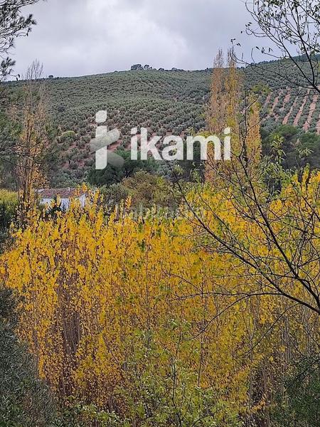 Foto 68d0ed03-f314-41c7-8ff4-c683a92b4412. Terreny residencial a Beas de Segura