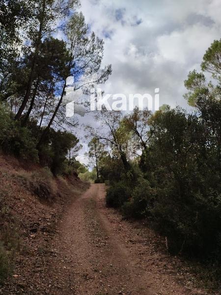 Foto dfc58cd1-f7fb-4d59-a421-73ed5b754e36. Terreny residencial a Beas de Segura