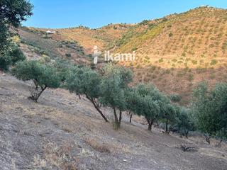 Finca rústica  Cerveral pol. 13. Parcela rústica de unos 9.735m2 en colmenar, málaga