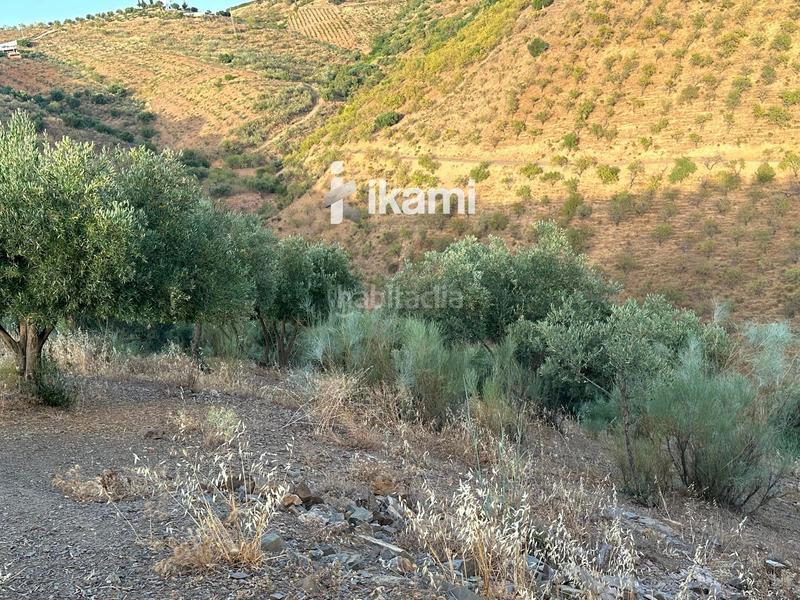 Foto ea340085-7034-4749-8f9b-7f07cd935d80. Fondo rustico in Colmenar