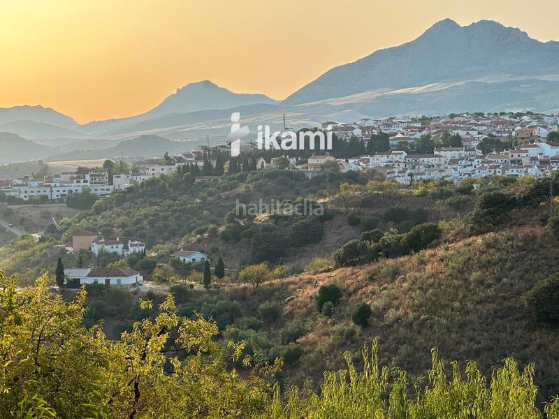 Foto eb2be8ae-b3ae-40a5-b078-b09a9a13ced8. Fondo rustico in Colmenar