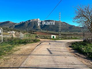 Finca rústica  María andana. Parcela urbana de 1.200m2 en archidona, málaga